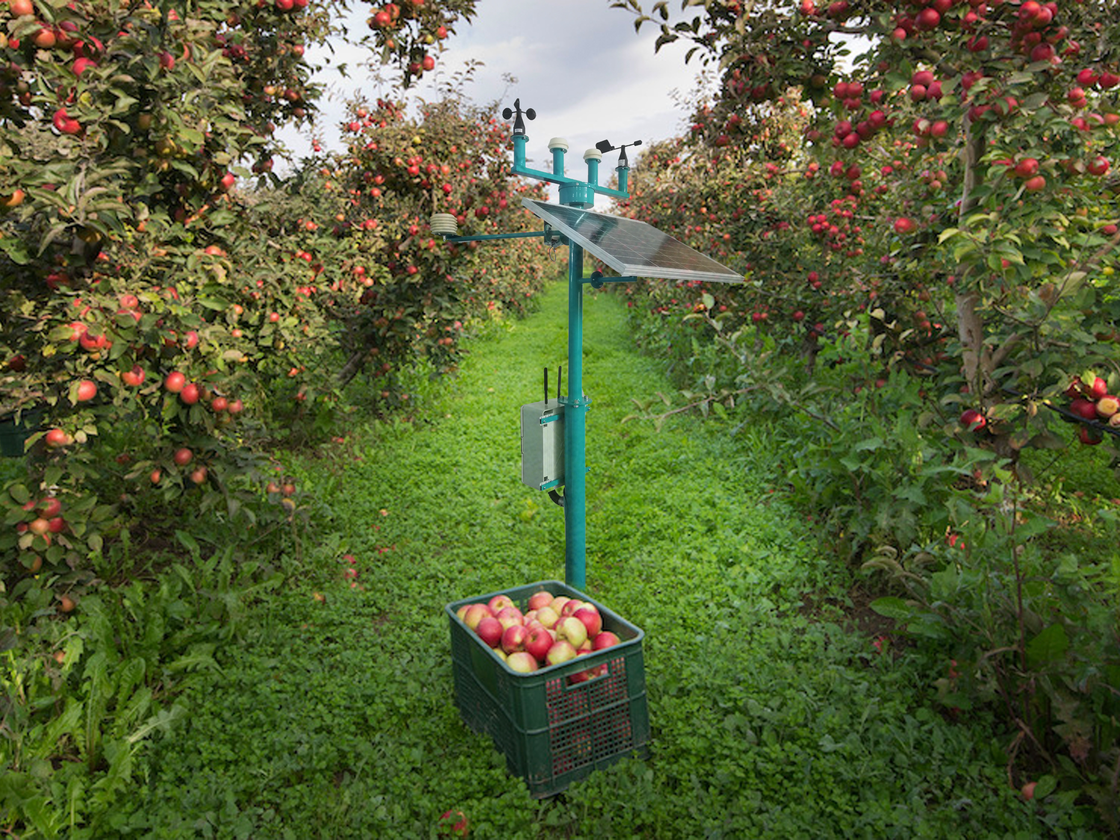 پروژه مزرعه هوشمند